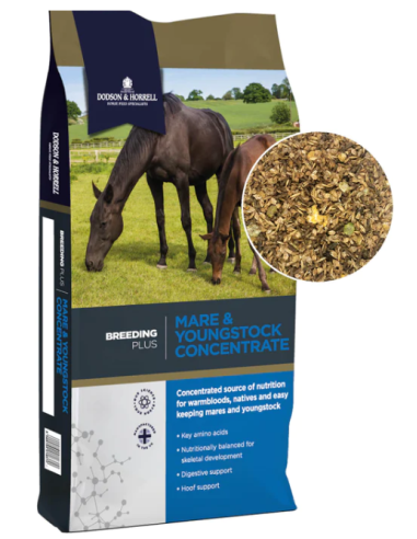 DODSON&HORRELL Mare and youngstock 20kg