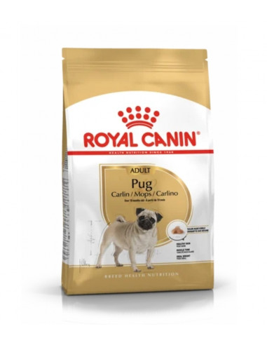 Royal canin PUG ADULT 1,5 KG